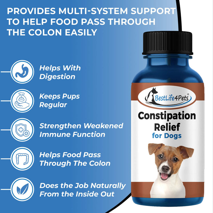 A closer look at Relieving Constipation In Dogs With Grass Supplements Naturally