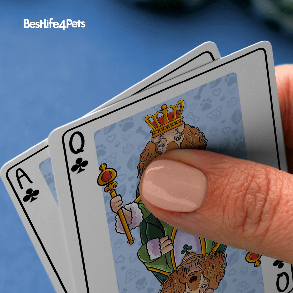 Dog Playing Cards – A Fun Gift for Dog Lovers BestLife4Pets 