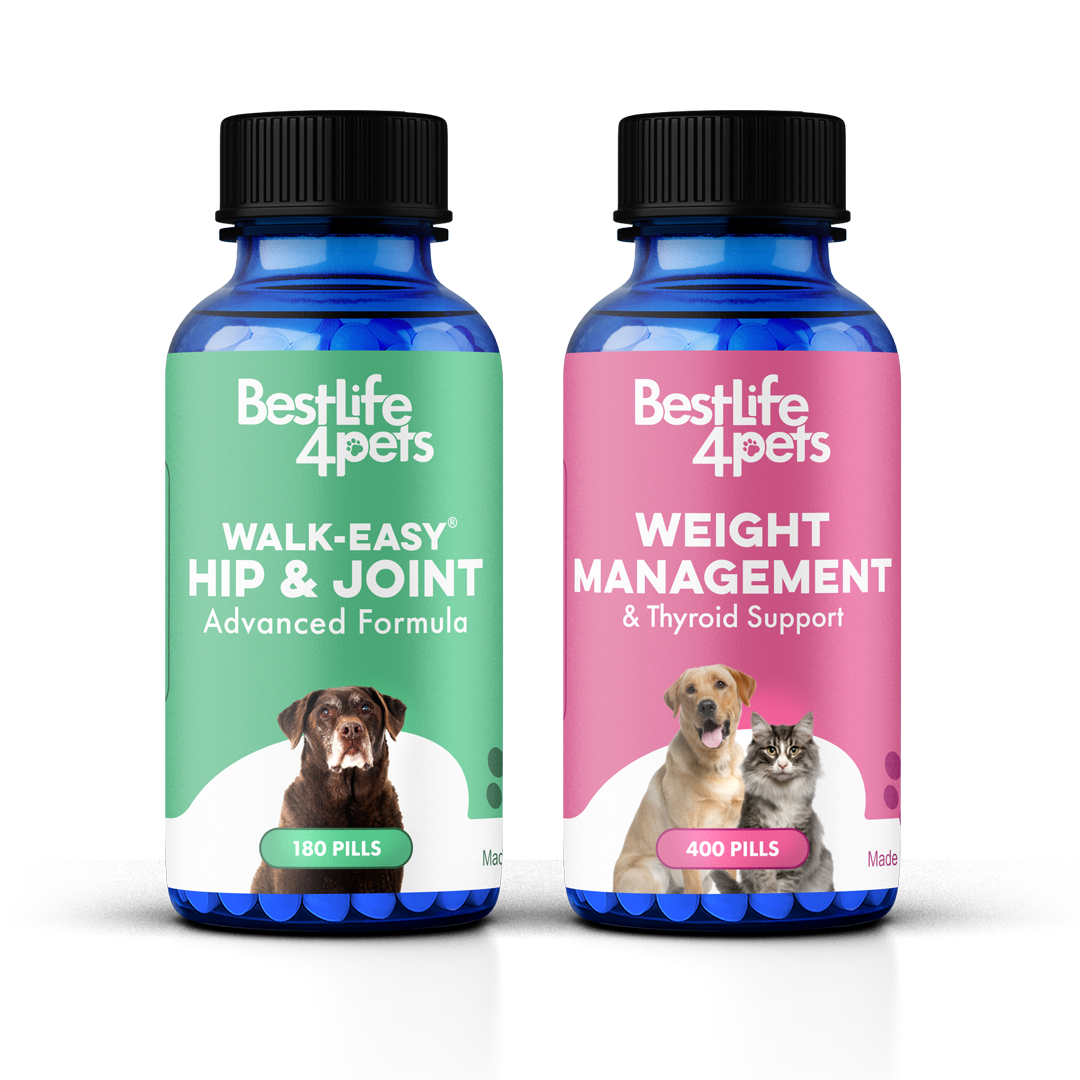 Dog Joint Health & Mobility Bundle (Arthritis, Hip Pain, Mobility Issues)