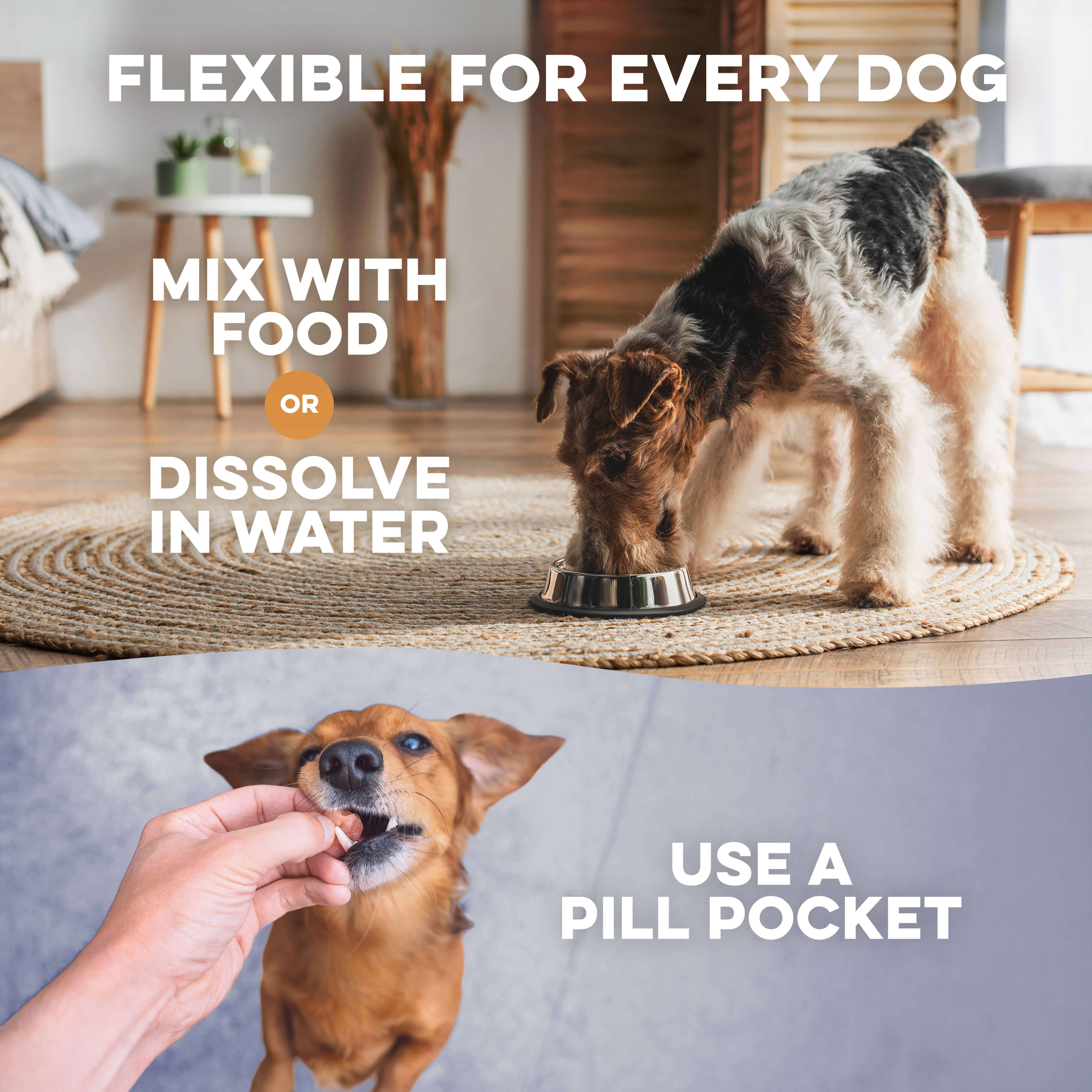 Dog & Cat Scoot Stopper & Anal Gland Remedy BestLife4Pets 