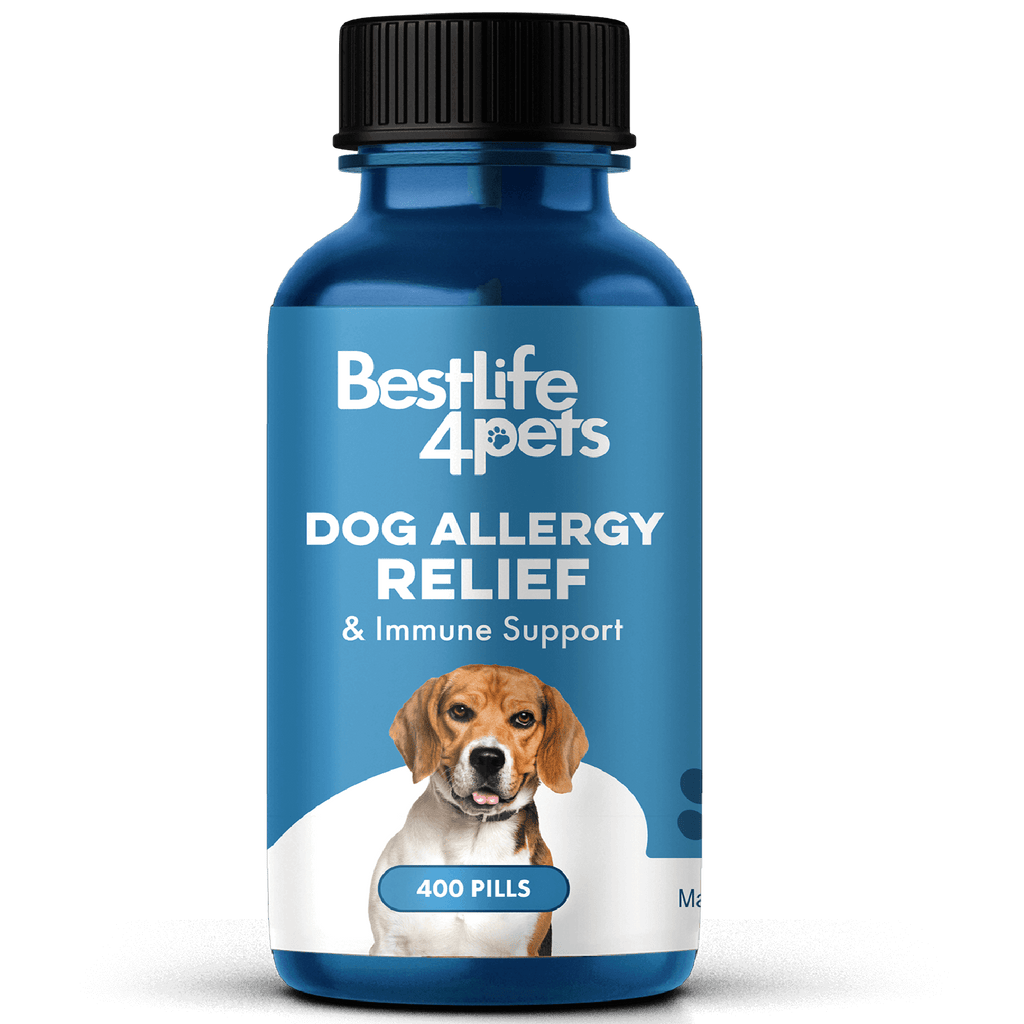 Dog Allergy & Immune Support Supplement BestLife4Pets 