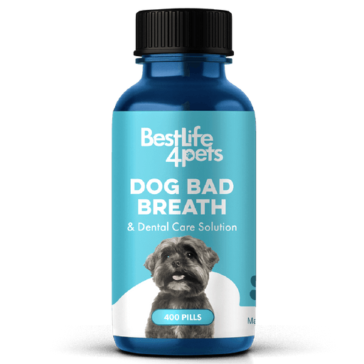 Dog Bad Breath & Dental Care Solution - Natural Remedy for Canine Oral Health BestLife4Pets 