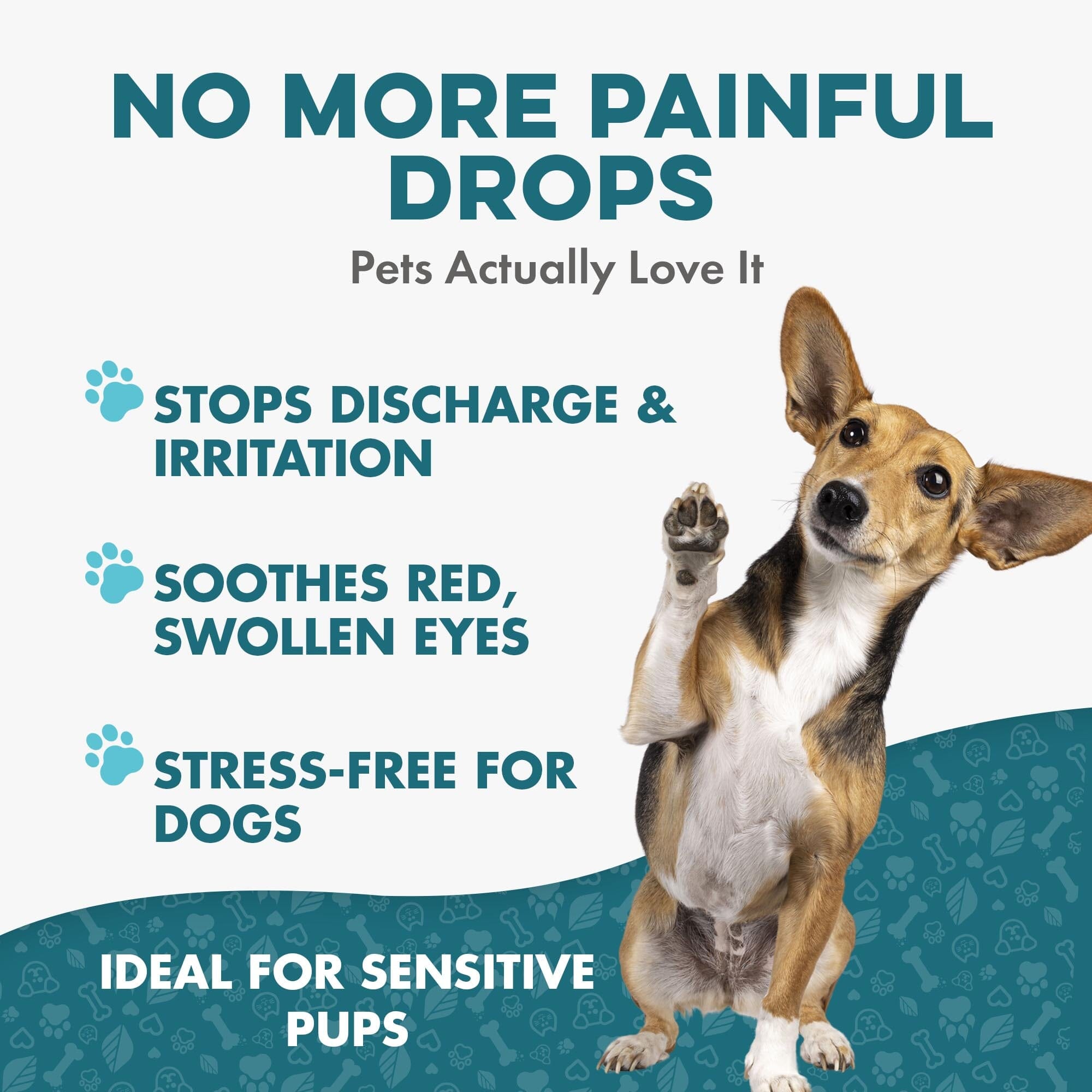 Dog Eye Infection & Vision Support Remedy BestLife4Pets 