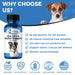 Natural Dog Eye Infection Treatment  - Helps Conjunctivitis, Watery Eyes, Red Eye, and General Eye Care