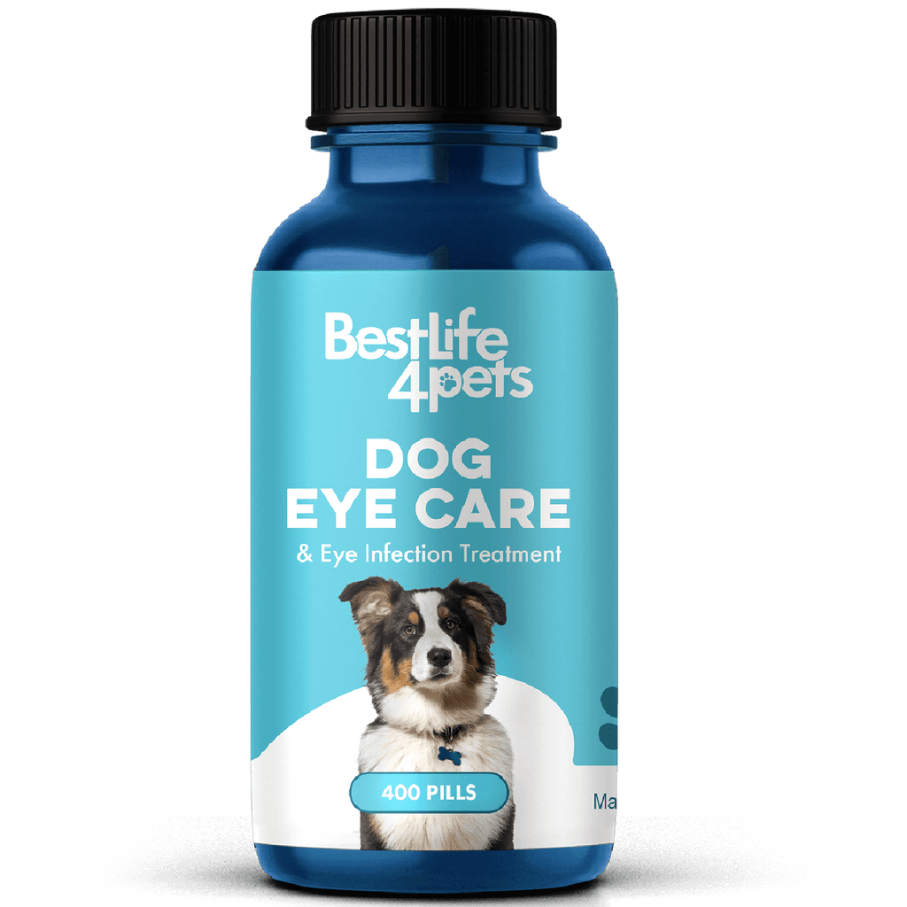 Natural Dog Eye Infection Treatment - Helps Conjunctivitis, Watery Eyes, Red Eye, and General Eye Care BestLife4Pets 