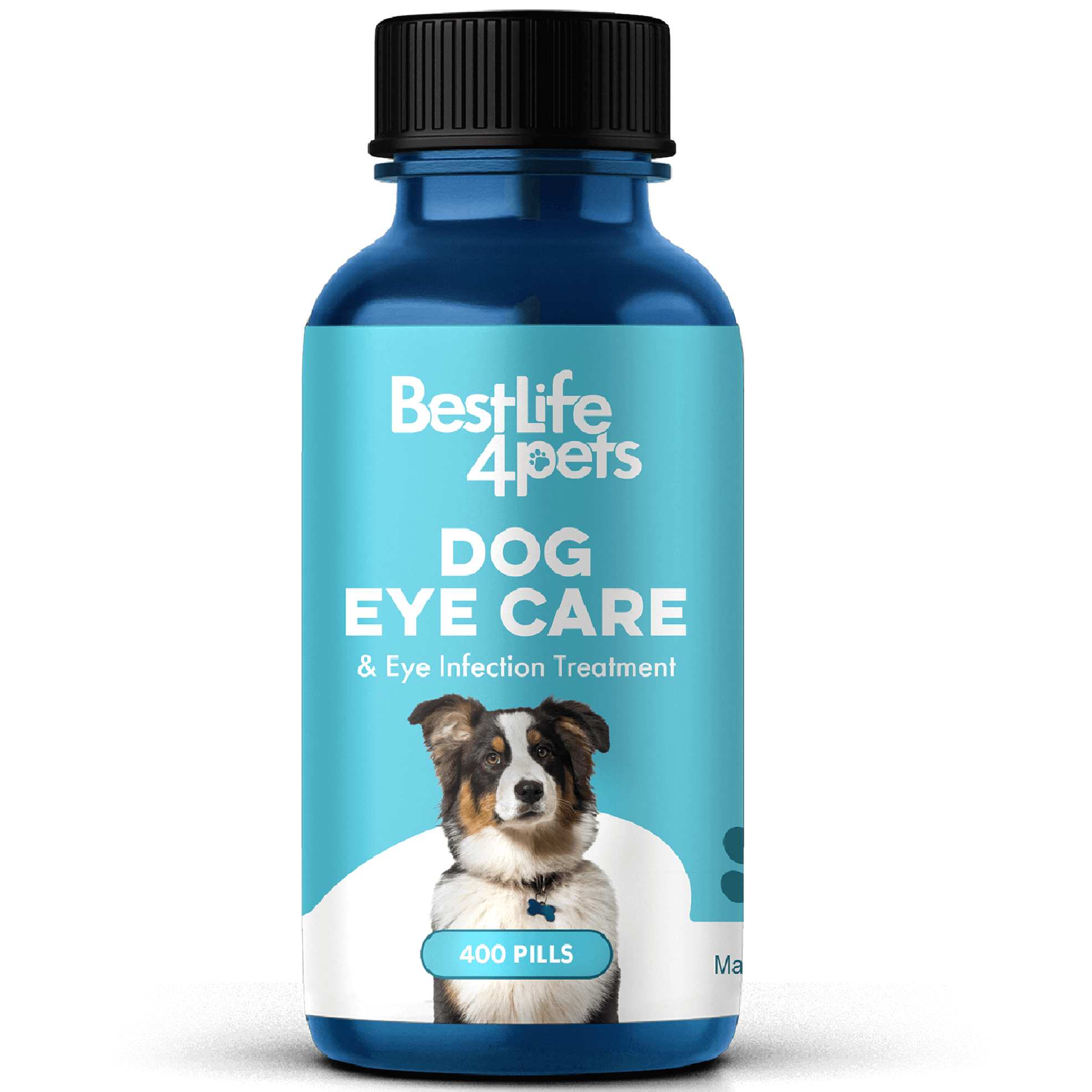 Natural Eye Infection Treatment for Dogs BestLife4Pets