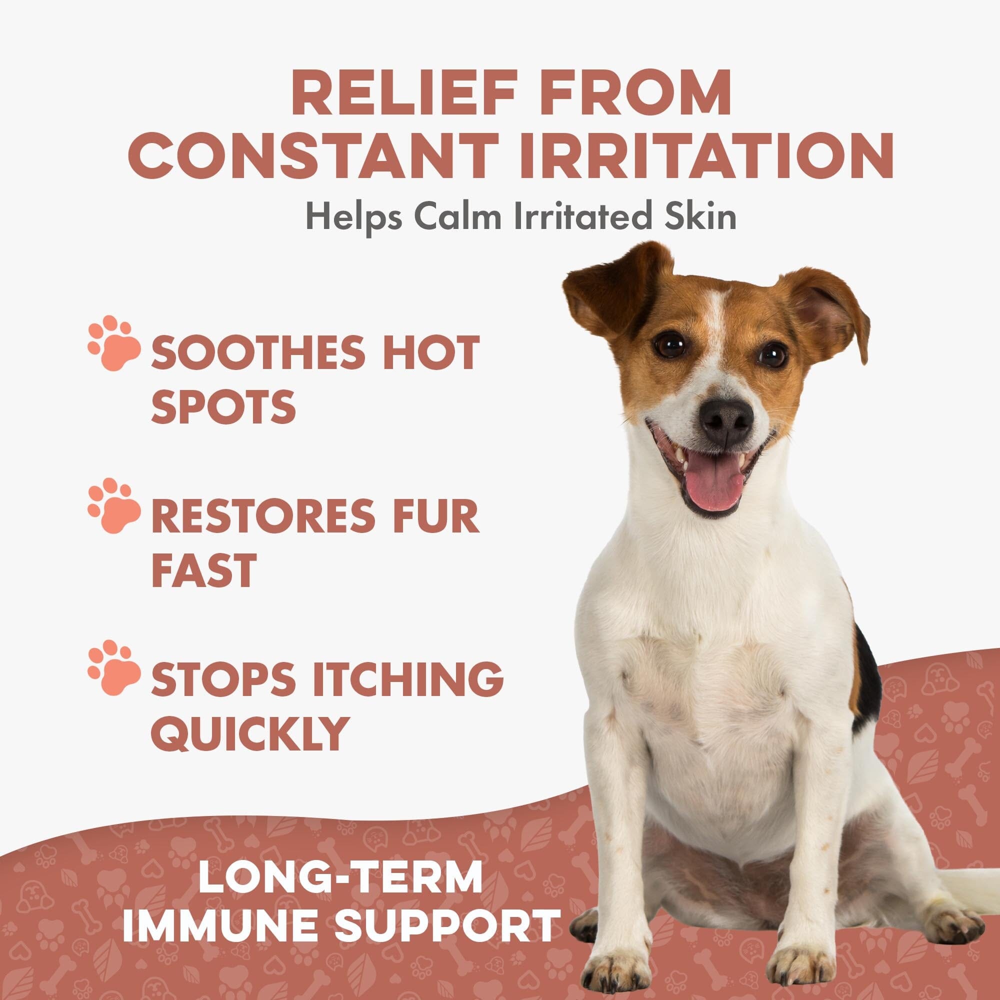 Dog Mange Remedy for Demodectic & Sarcoptic Mange & Ear Mites BestLife4Pets 