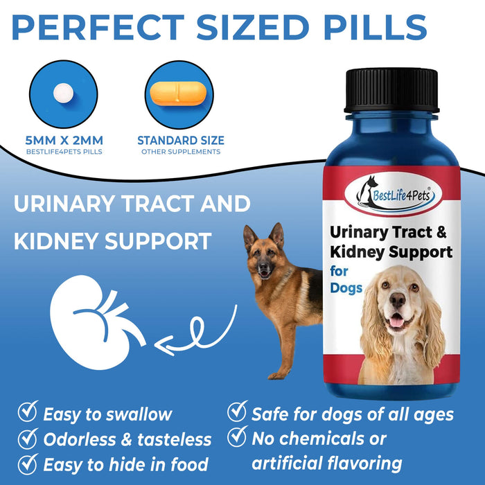 Kidney & Urinary Tract Infection Treatment for Dogs - Relieves Dog UTI, Bladder Infection and Kidney Stones