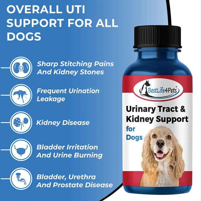 Kidney & Urinary Tract Infection Treatment for Dogs - Relieves Dog UTI, Bladder Infection and Kidney Stones