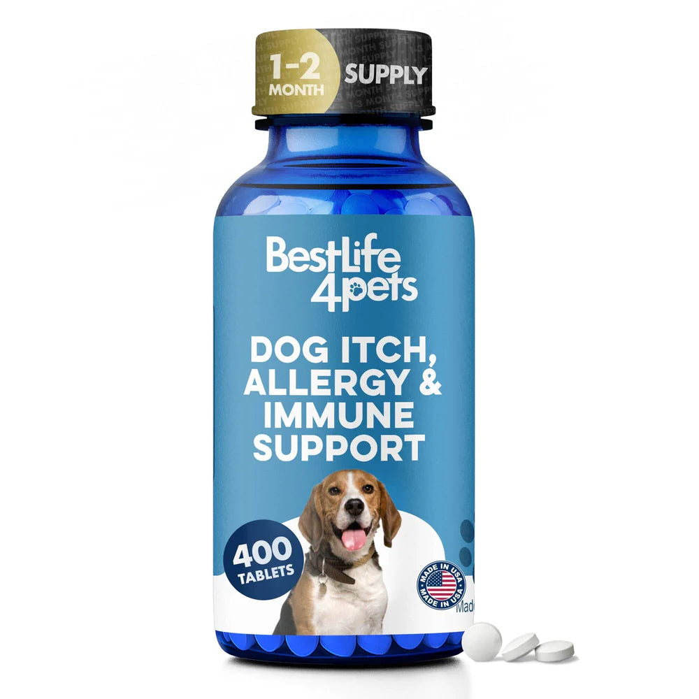 Dog Allergy.webp__PID:8333b429-3d8c-47b9-bead-dde9ead01546