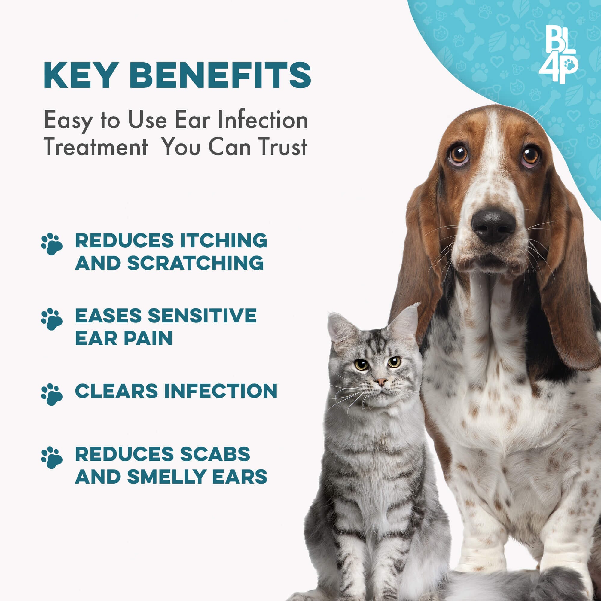 Ear Infection Medicine for Dogs Without Vet Prescription Gentle