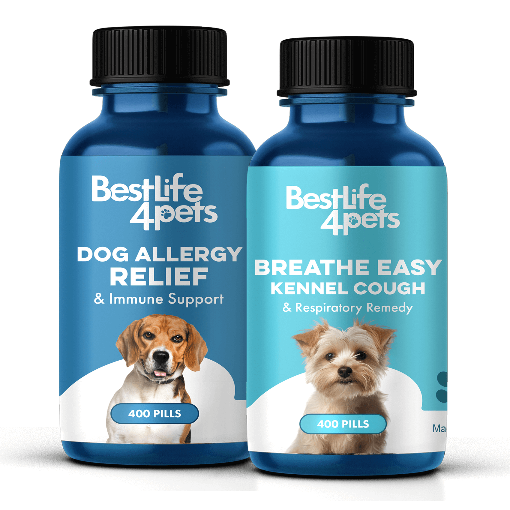 Dog Cough Relief ( Sneezing, Wheezing, Kennel Cough) // BestLife4Pets