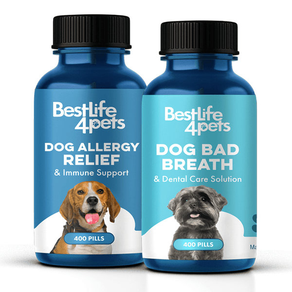 Dog_Immune_Dental_grande.png?v