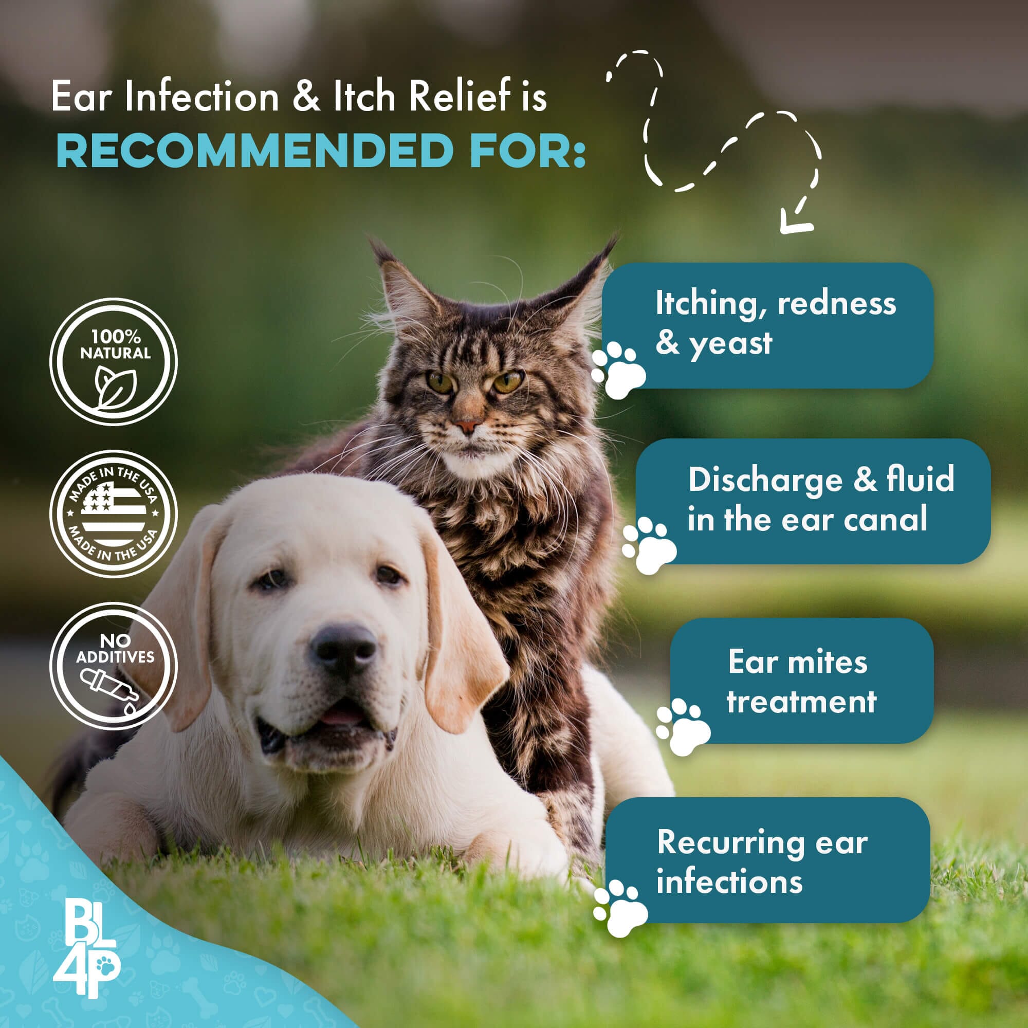Ear Infection & Itch Relief for Dogs and Cats BestLife4Pets 
