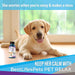 Pet Relax Dog Anxiety and Calming Relief Formula BestLife4Pets 