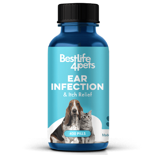 Ear Infection & Itch Relief Treatment for Dogs and Cats BestLife4Pets 