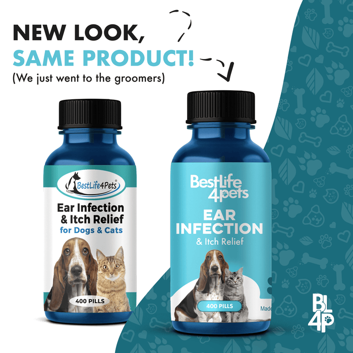 Ear Infection & Itch Relief Treatment for Dogs and Cats - Helps Ear Problems such as Otitis, Lesions and Papules BestLife4Pets 