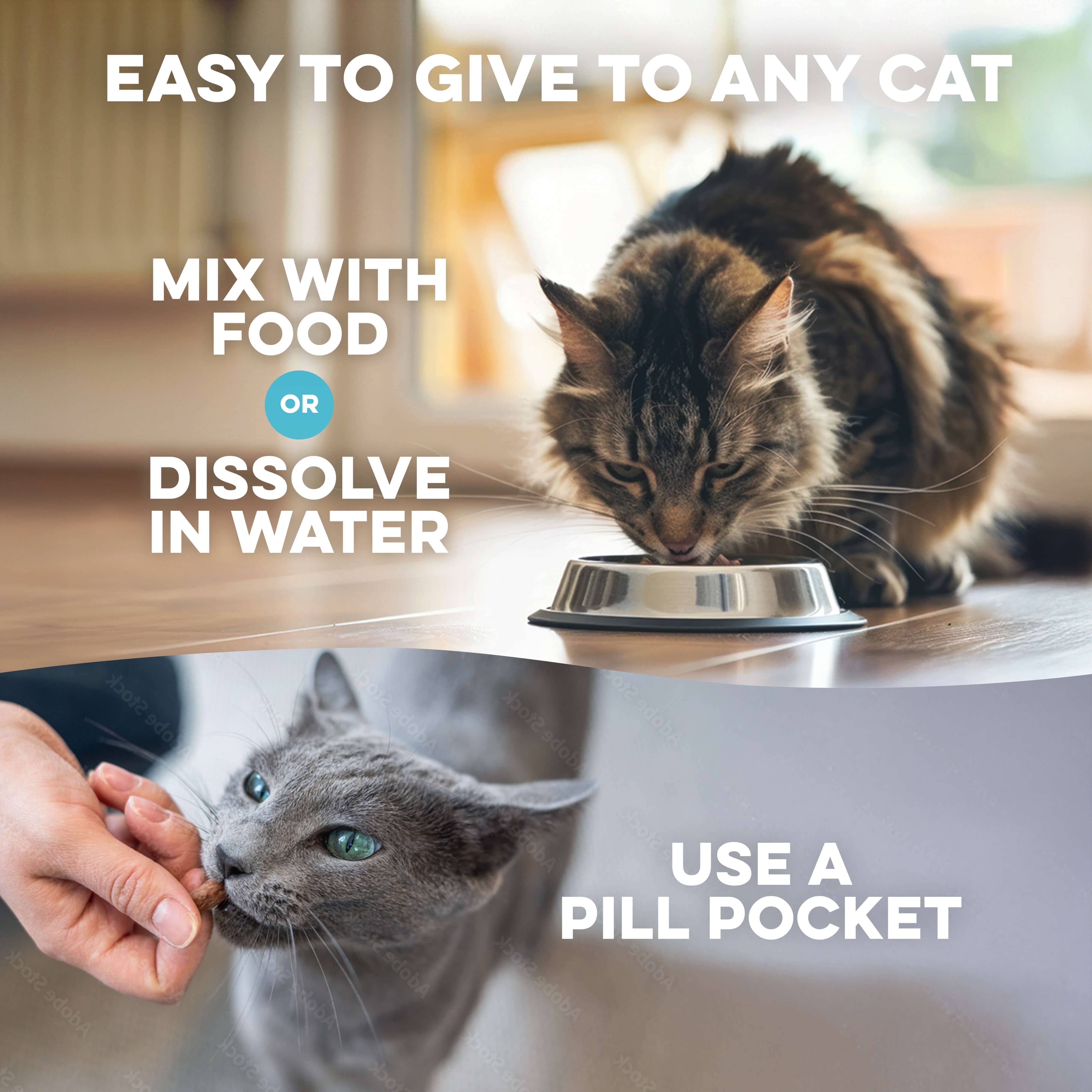 Cat Eye Infection & Vision Support Remedy BestLife4Pets 