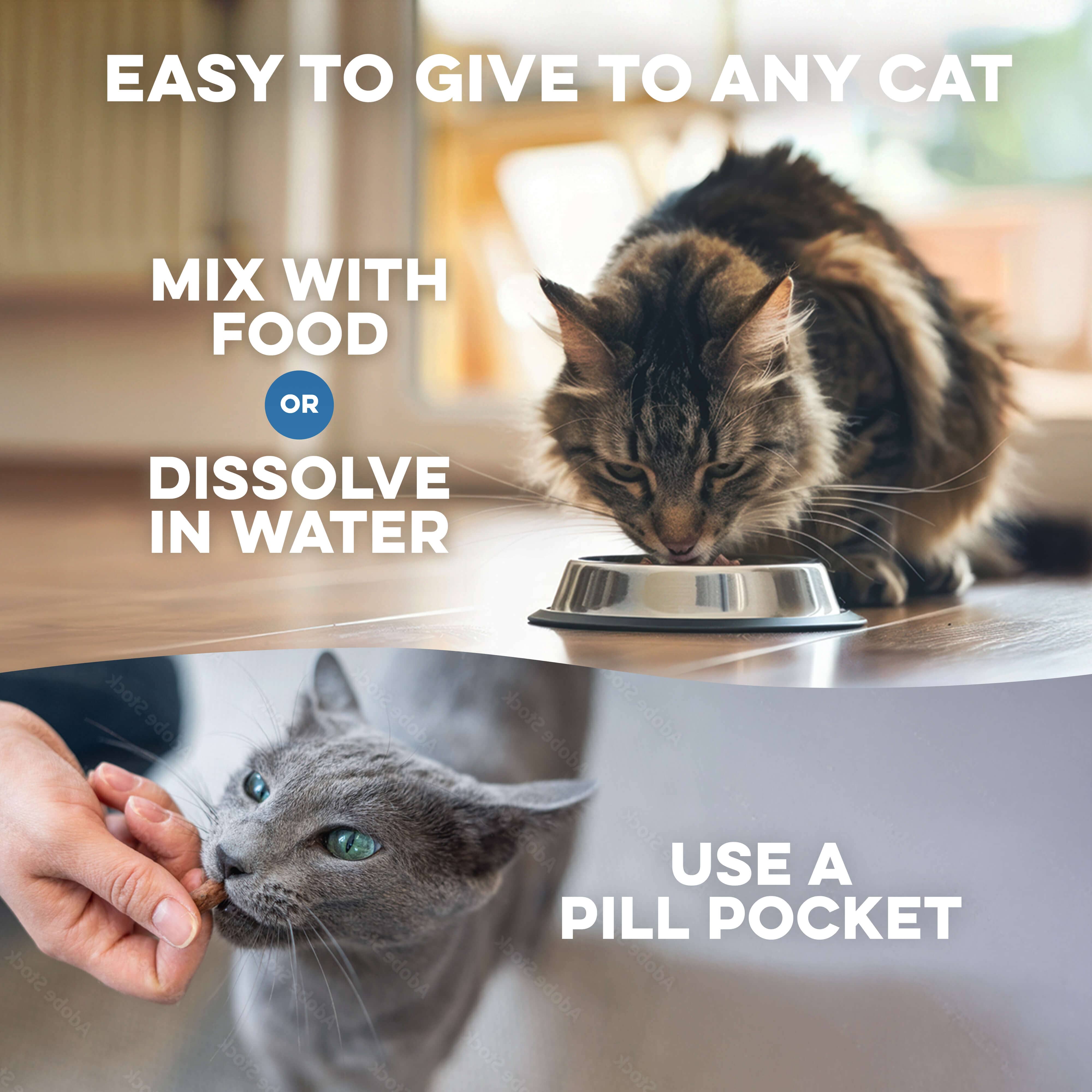 Cat UTI & Kidney Support Remedy BestLife4Pets 