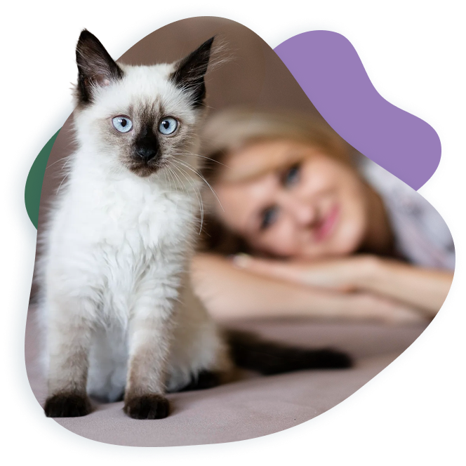 Easy to Give, No Stress for You or Your Pet