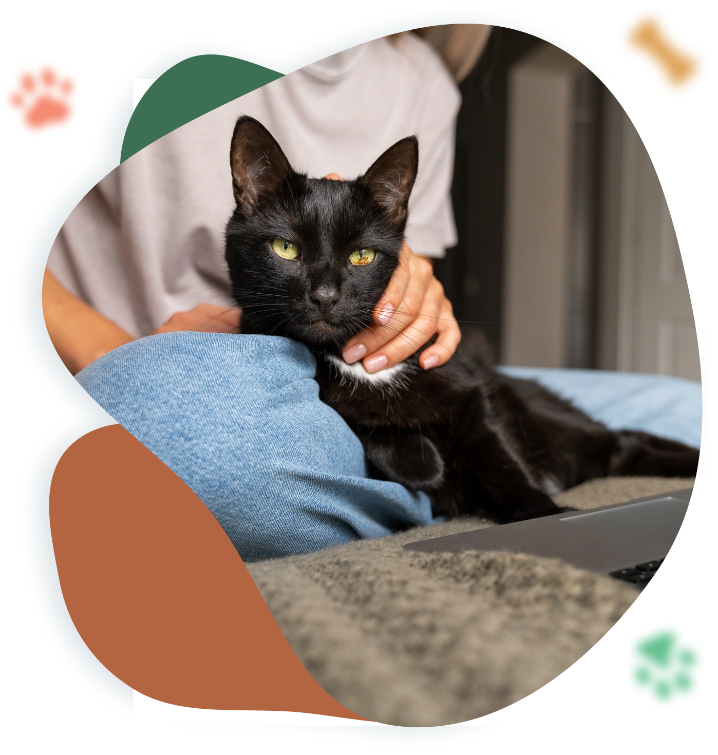 Prevents issues before they start