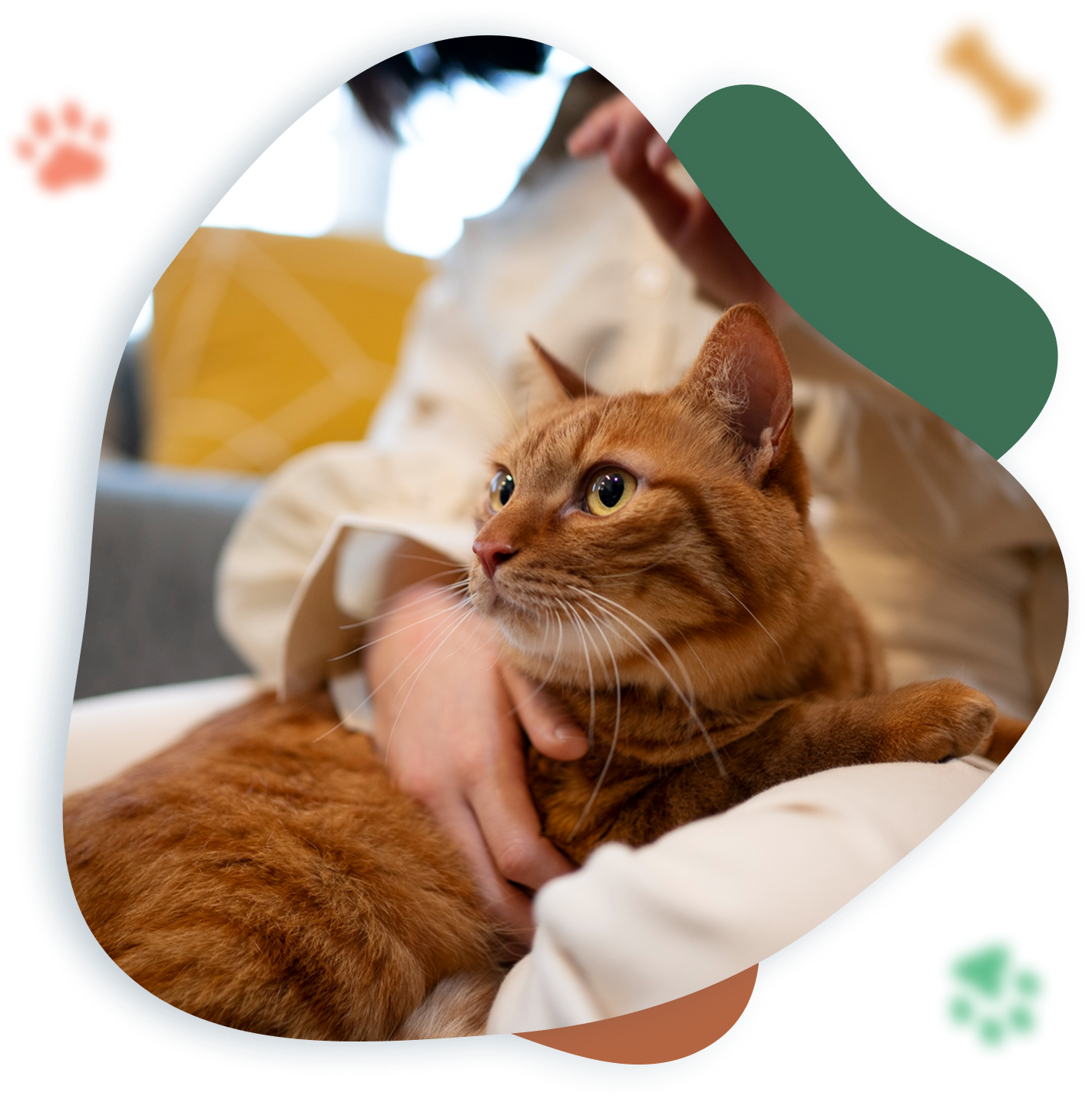 Backed by decades of veterinary use