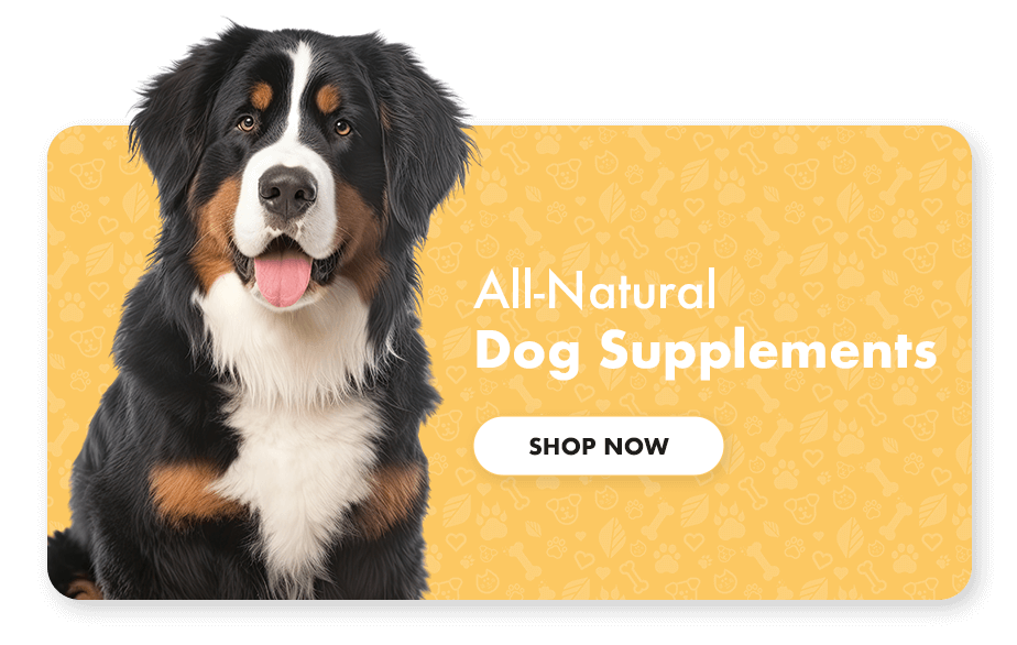 Natural Supplements for Dogs & Puppies