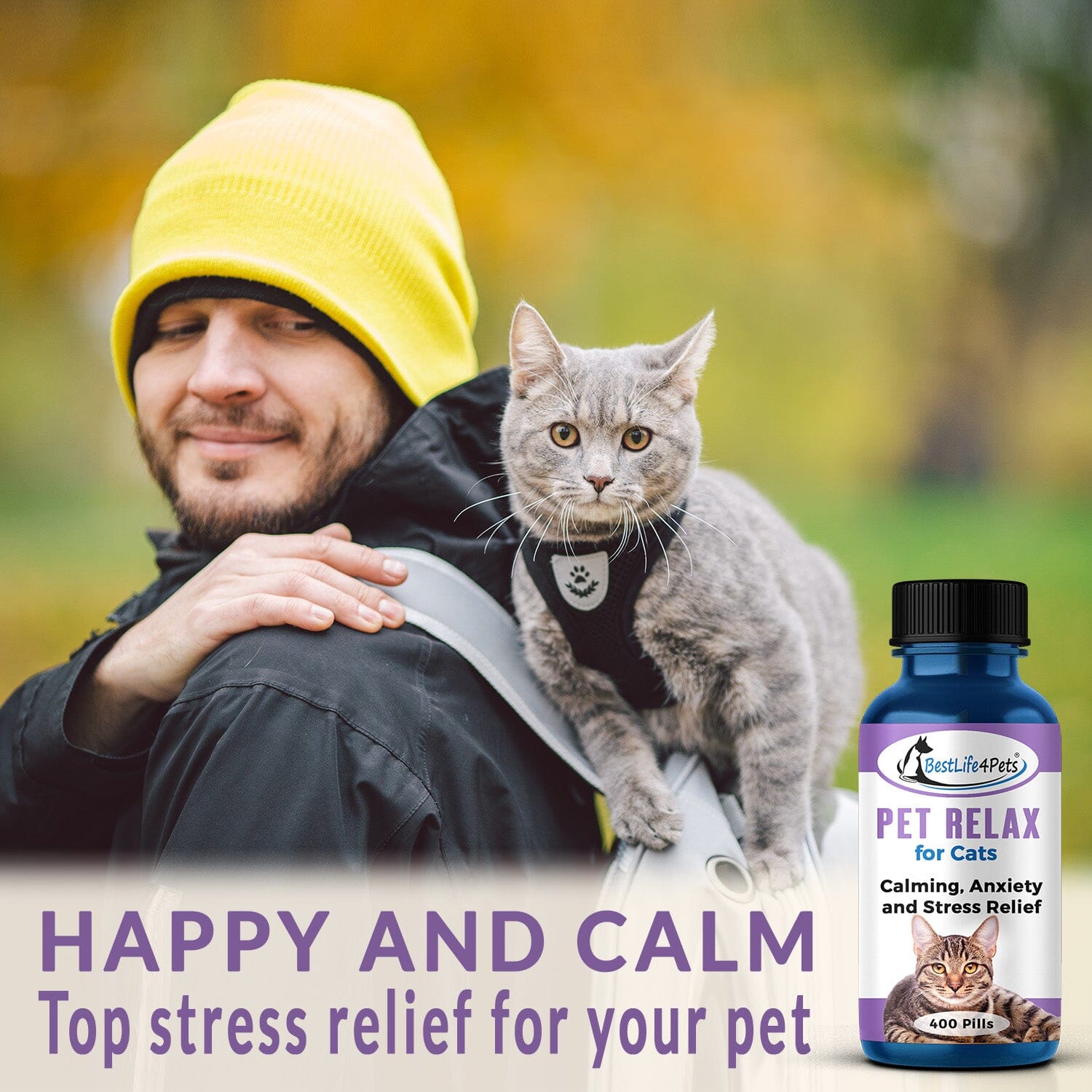 Cat Anxiety Medication, Calming Aids & More