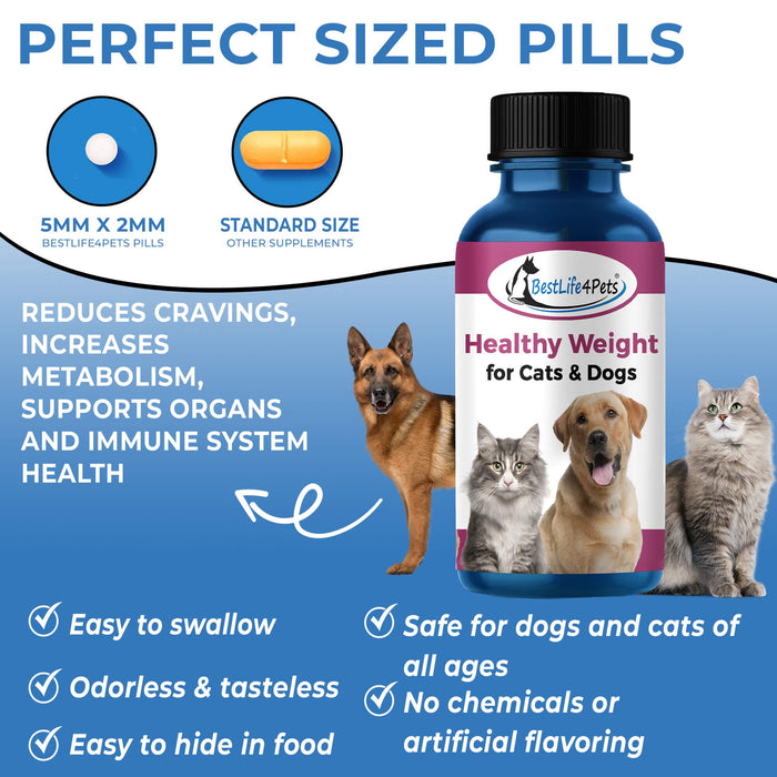 Safe Natural Weight Loss Supplement for Dogs & Cats - Helps Control Appetite for Overweight Pets BestLife4Pets 