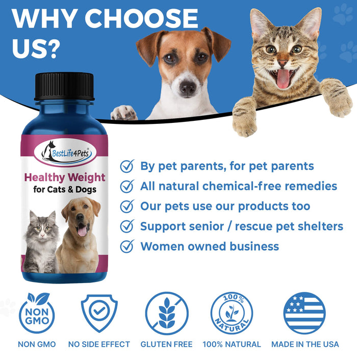 Safe Natural Weight Loss Supplement for Dogs & Cats - Helps Control Appetite for Overweight Pets BestLife4Pets 