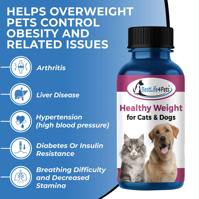 Safe Natural Weight Loss Supplement for Dogs & Cats - Helps Control Appetite for Overweight Pets