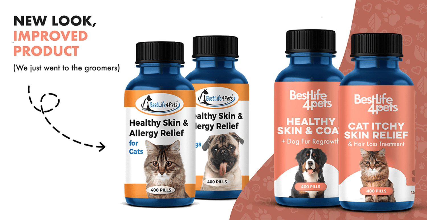 Healthy Skin and Allergy Relief: Is Now Healthy Skin & Coat