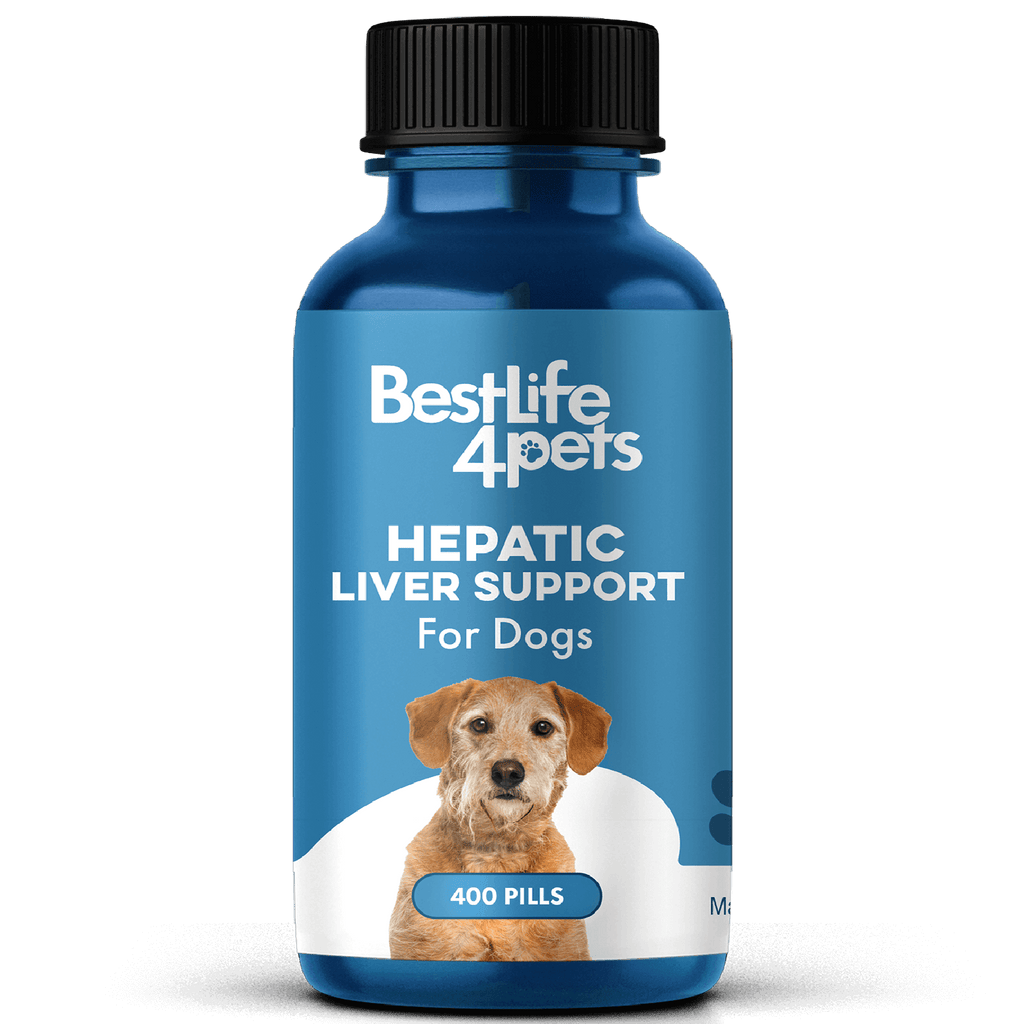 Natural Hepatic Dog Liver Support Tablets BestLife4Pets 