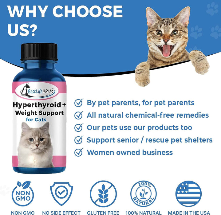 Hyperthyroidism Supplement for Cats - Treats Cat Hyperthyroid, Patchy Hair Loss, and Helps Cat Weight Gain BestLife4Pets