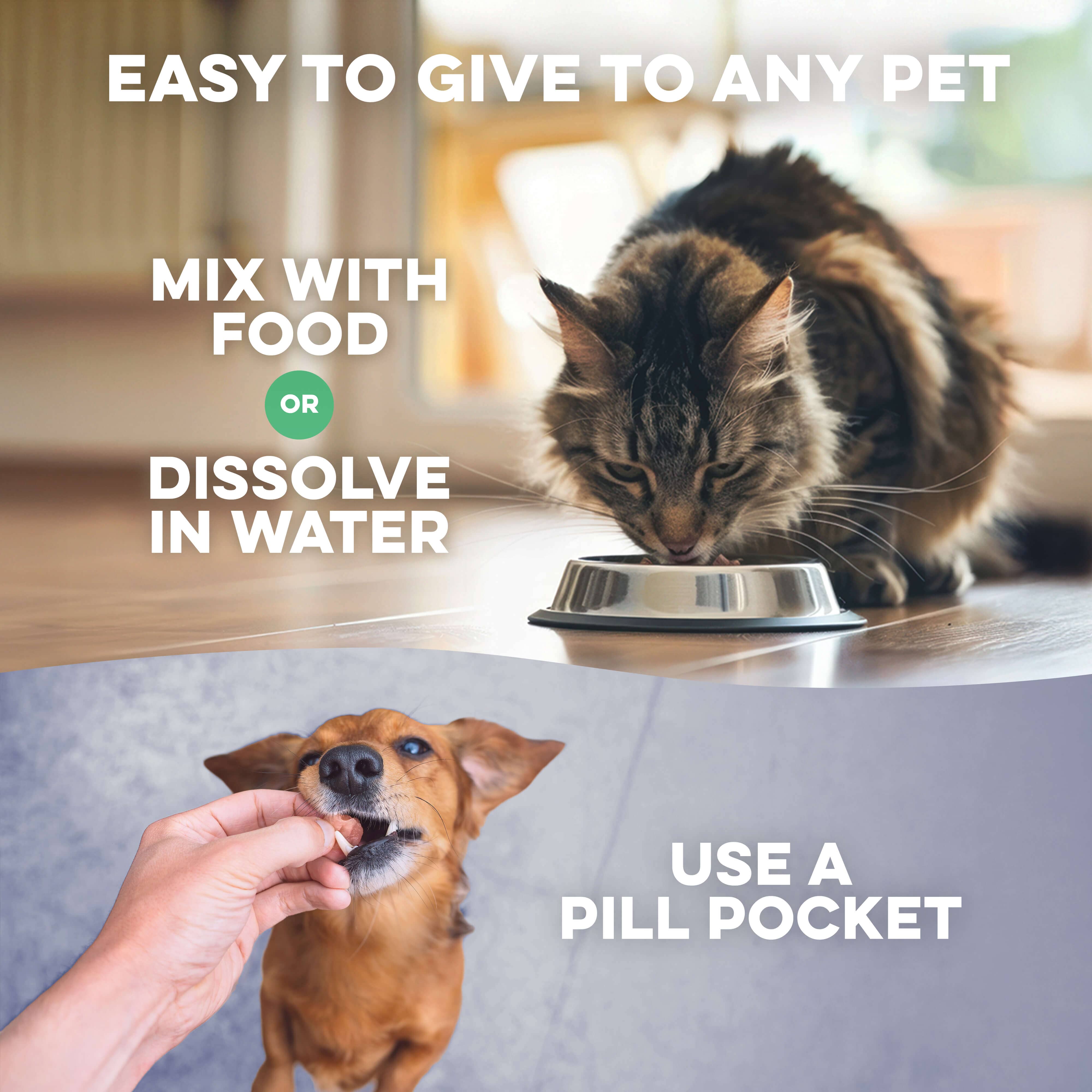 Dog & Cat WALK-EASY® Hip & Joint Support BestLife4Pets 