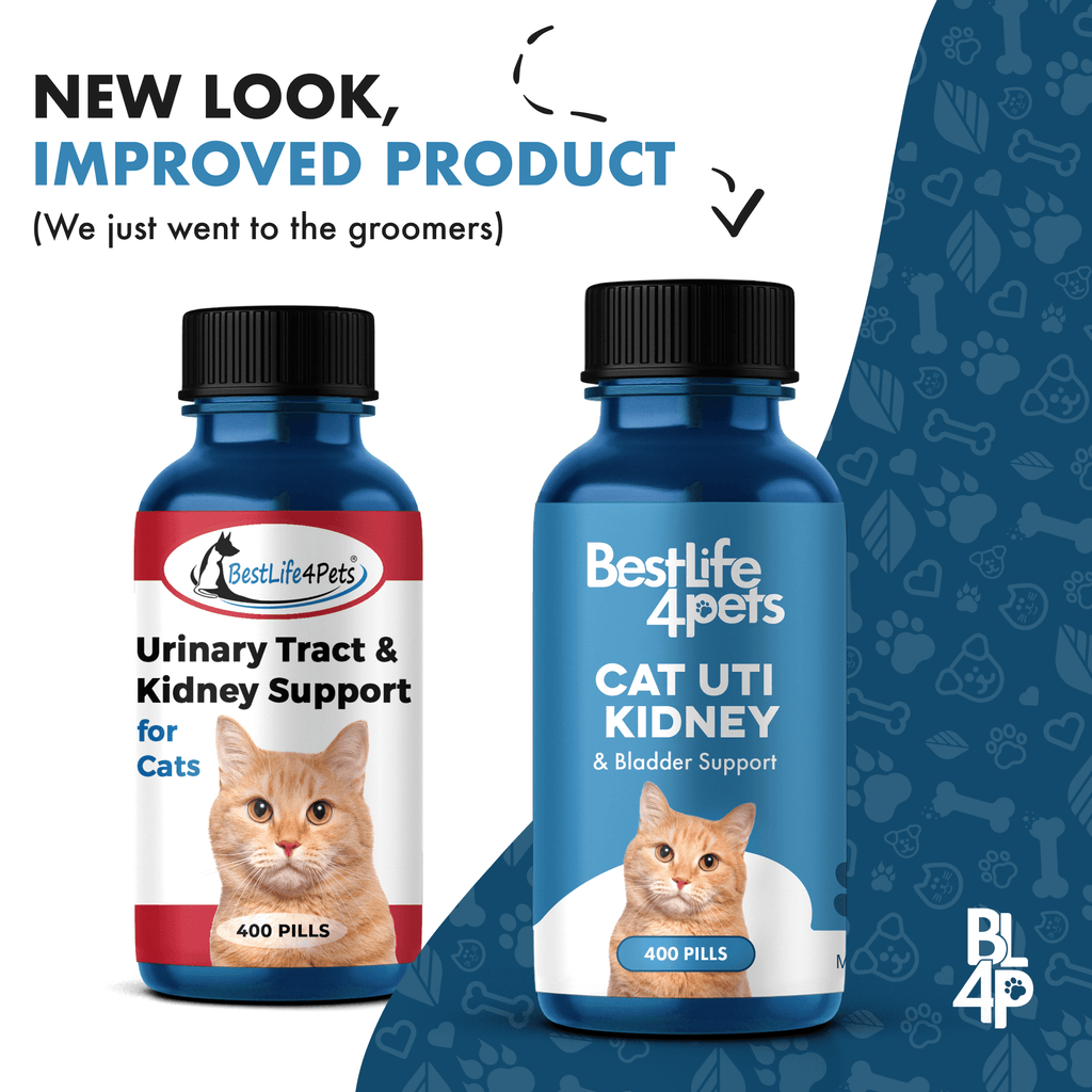 Image showcasing Natural Cat UTI Remedy | Bladder Infection, Kidney Support // BestLife4Pets