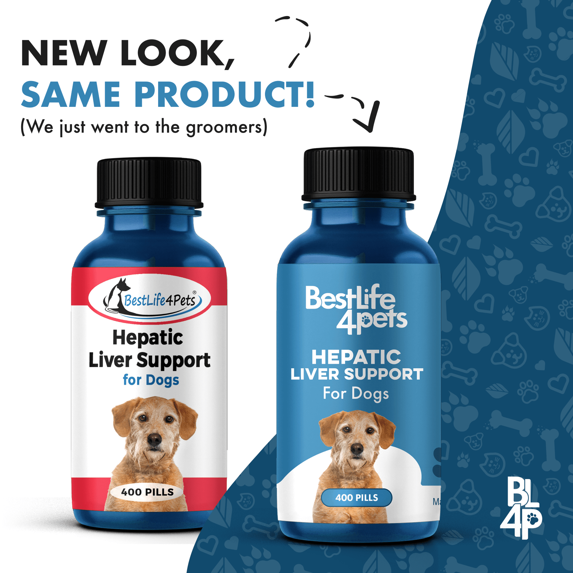 Natural Liver Support Supplement for Dogs // BestLife4Pets