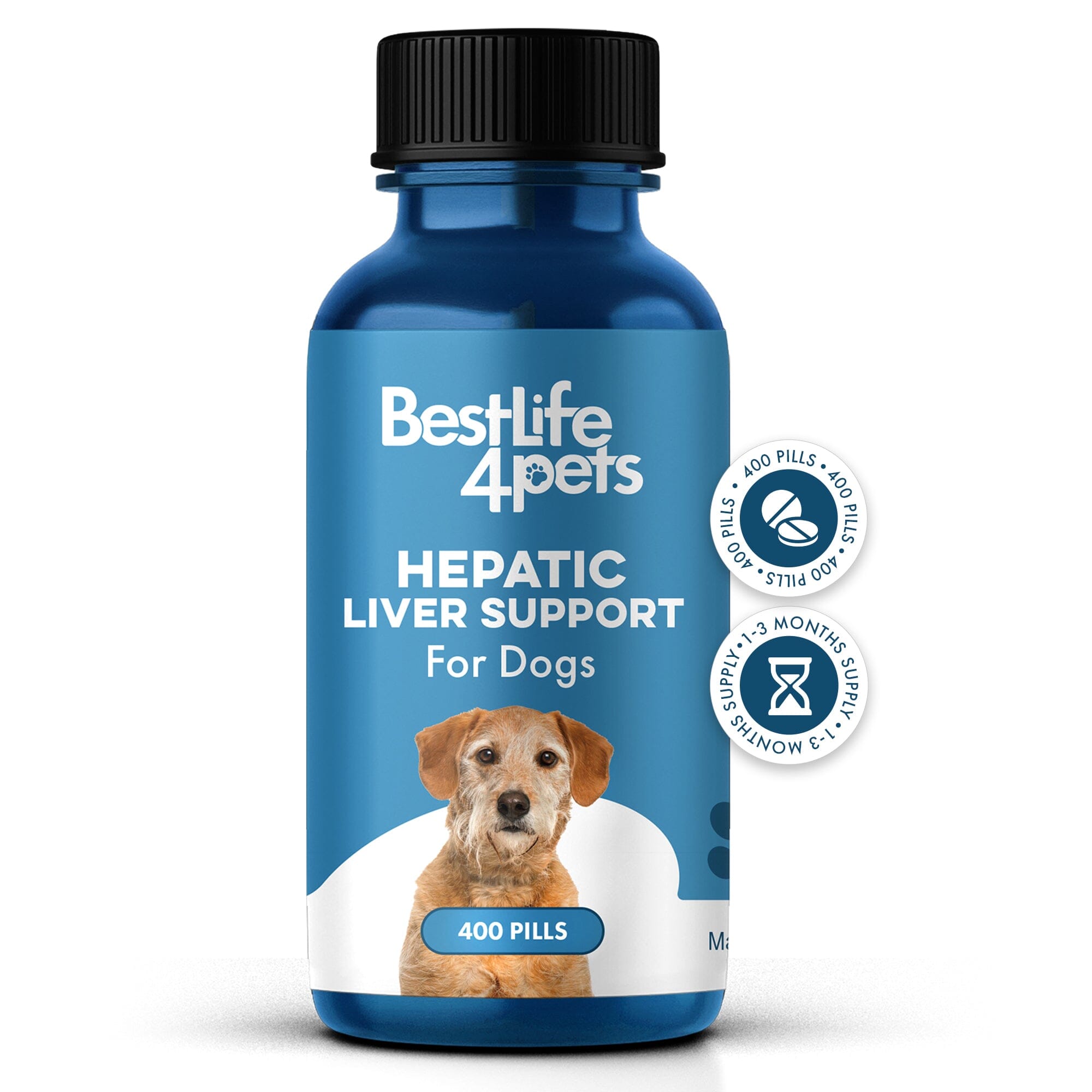 Dog Liver Health & Detox Bundle (Jaundice, Weight Loss, Increased Thirst) BestLife4Pets 