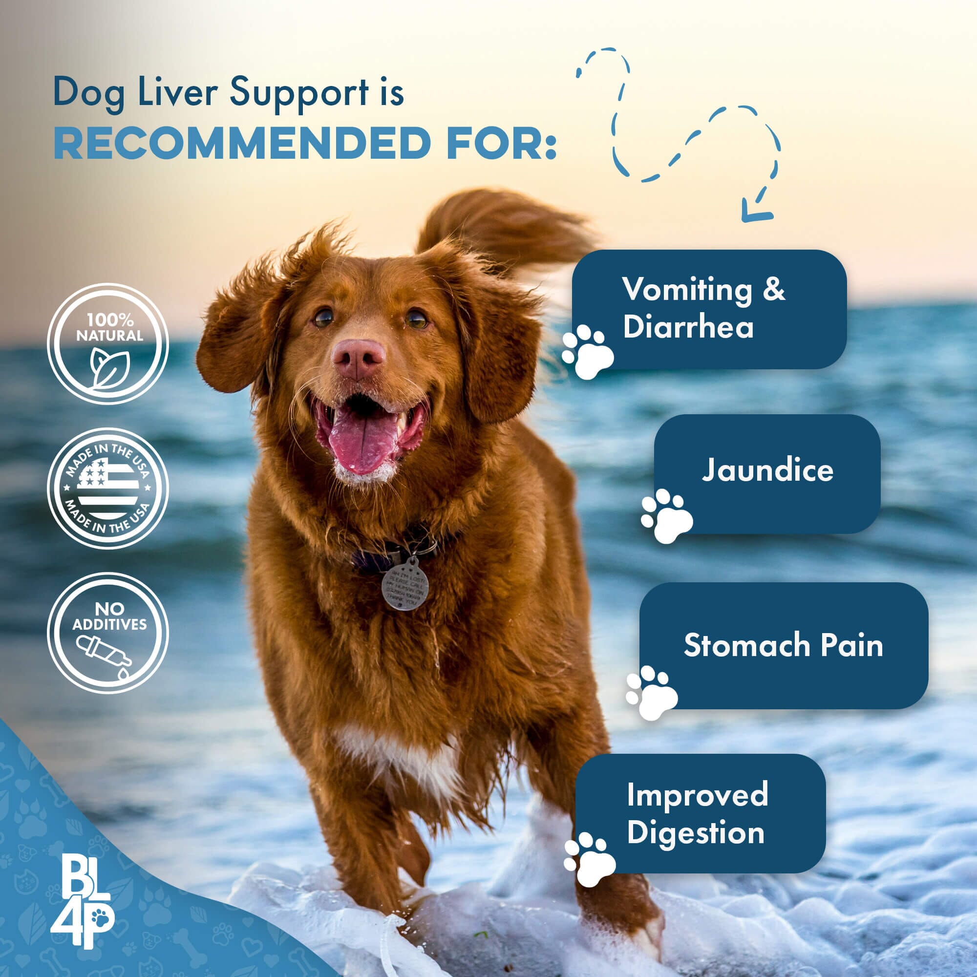 Natural Hepatic Dog Liver Support Tablets BestLife4Pets 