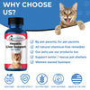 Natural Hepatic Liver Support for Cats