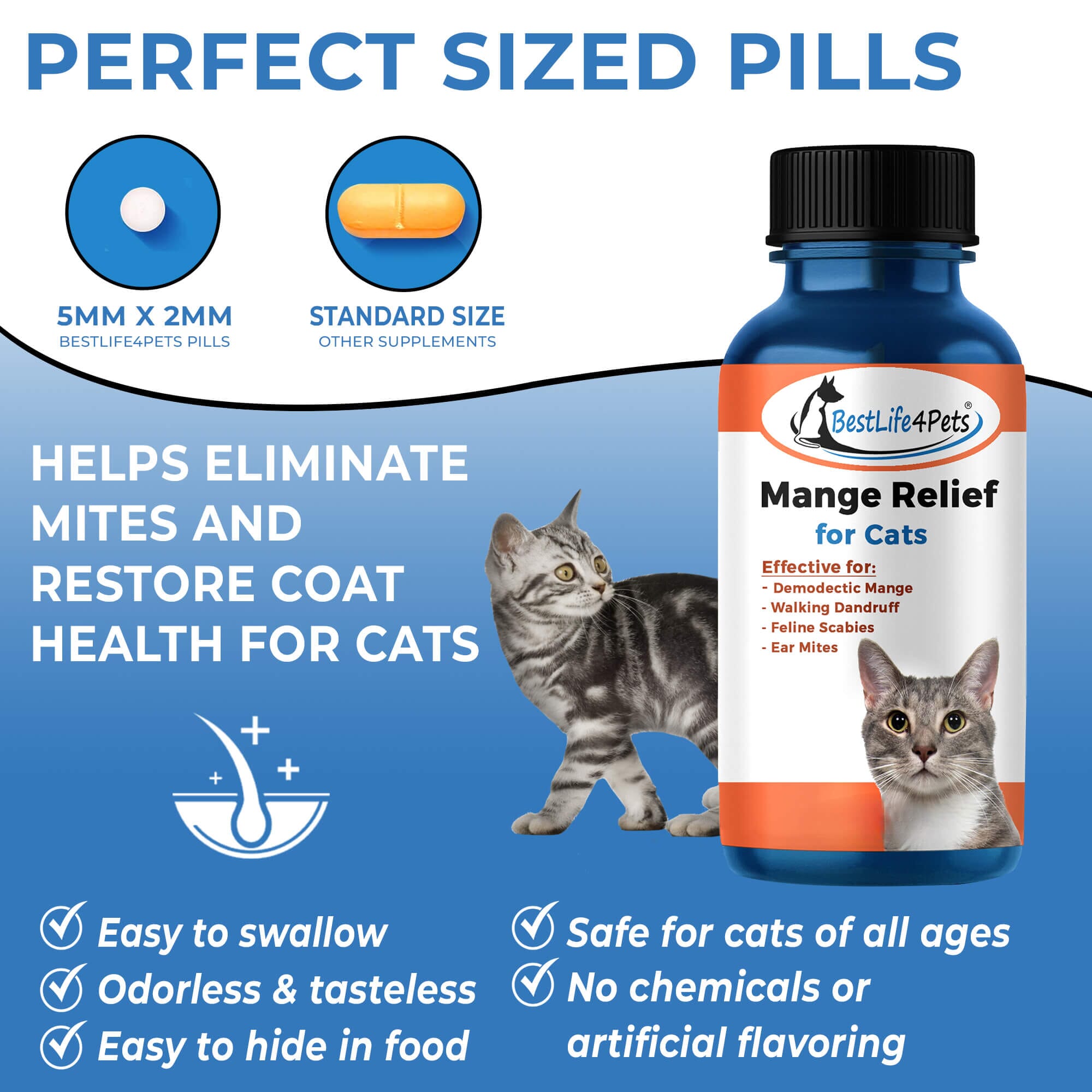 Illustration of Feline Mange Treatment Frequency Chart