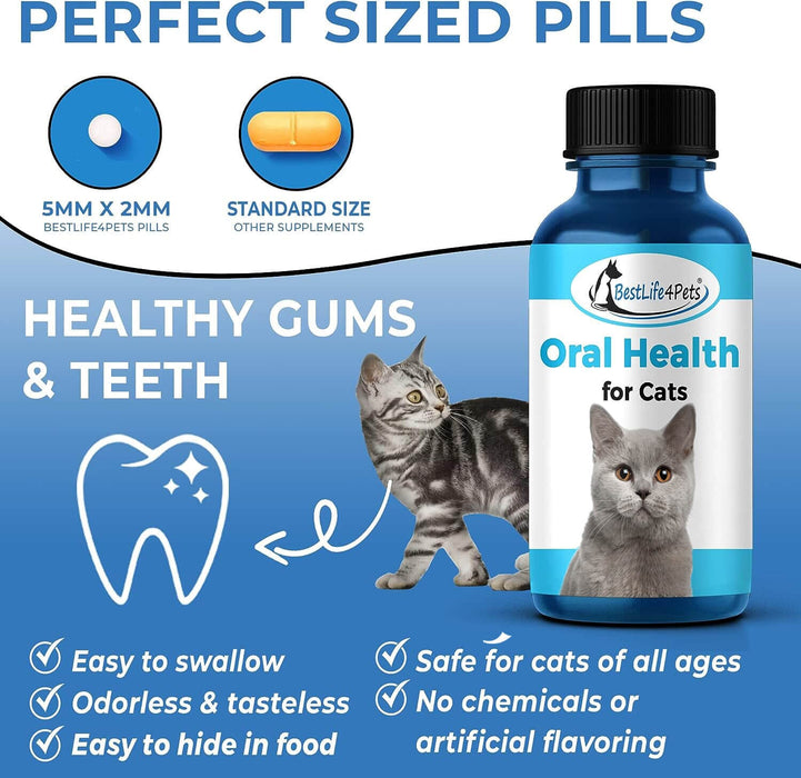 Oral Health for Cats Dental Treatment - Natural Stomatitis, Gum Disease and Gingivitis Solution