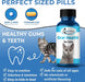 Oral Health for Cats Dental Treatment - Natural Stomatitis, Gum Disease and Gingivitis Solution
