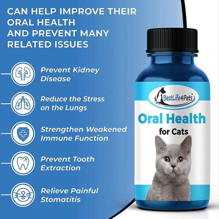 Oral Health for Cats Dental Treatment - Natural Stomatitis, Gum Disease and Gingivitis Solution