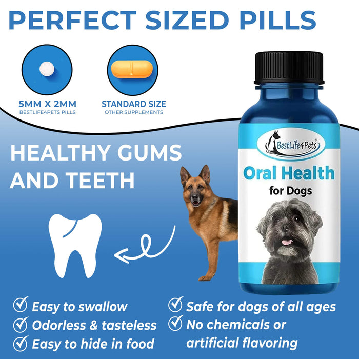 Oral Health for Dogs - Natural Remedy for Gingivitis, Bad Breath and Periodontal Disease