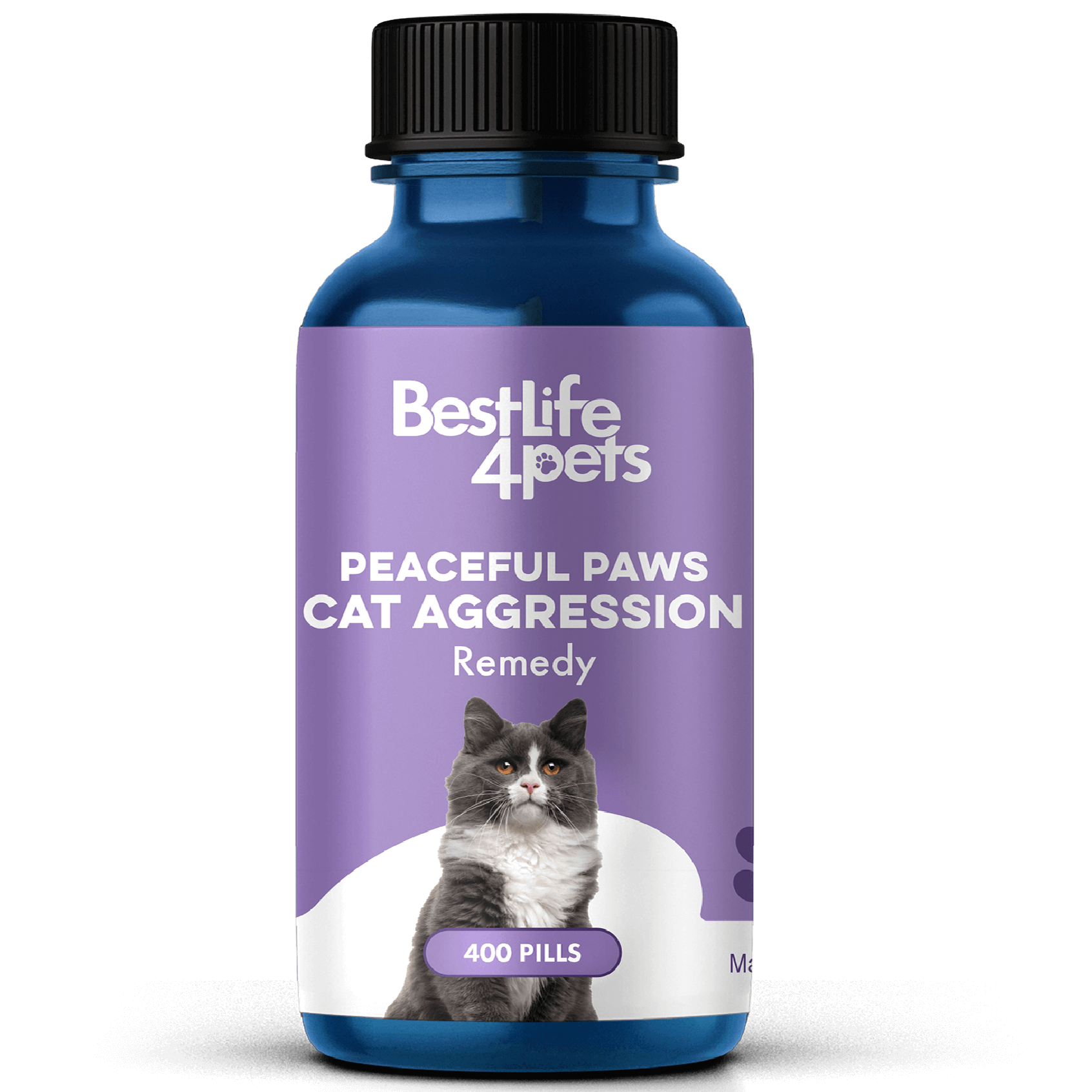 Behavioral medication for cats best sale