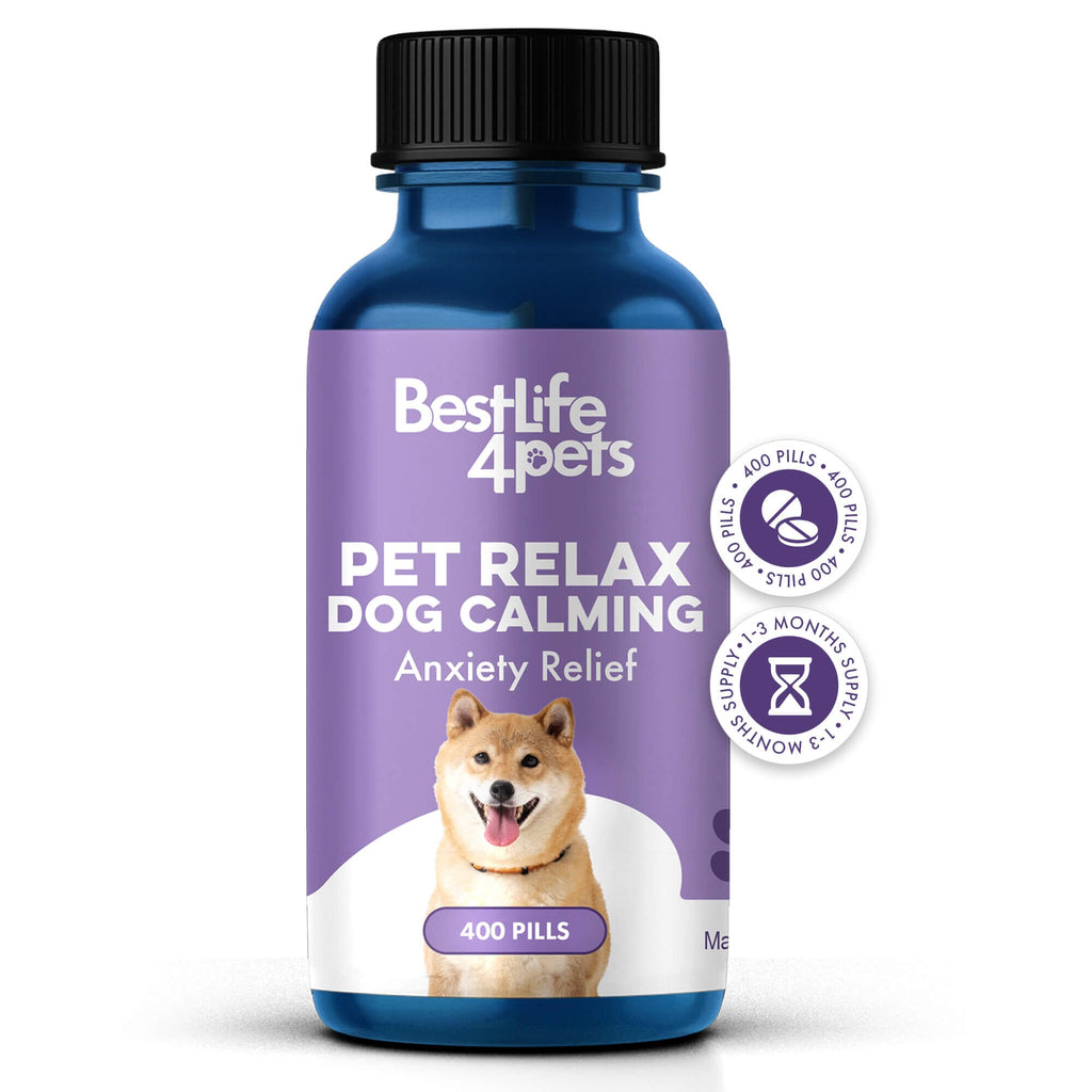 Anxiety Does Benadryl Help Dogs Sleep Dog Pet Relax Anxiety - Main Image