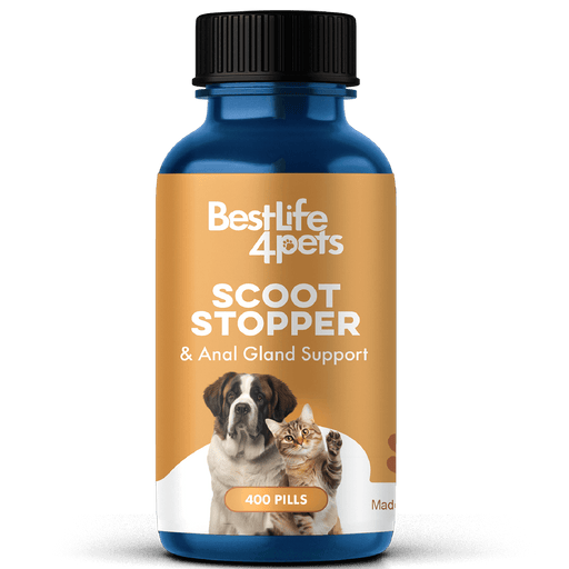 Scoot Stopper & Anal Gland Support for Dogs and Cats BestLife4Pets 