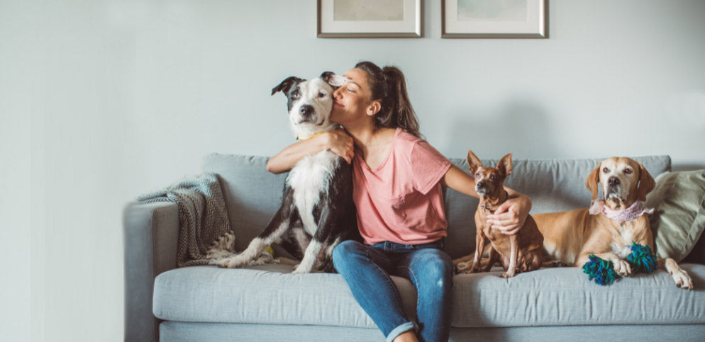 woman sitting at home on couch with three senior dogs