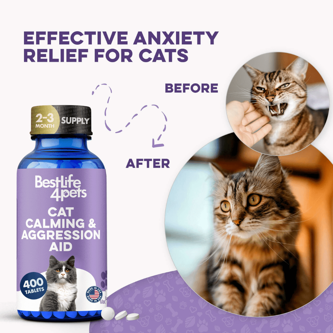 Cat Calming & Aggression Aid BestLife4Pets 